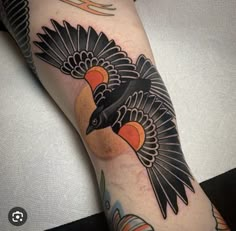 a black bird with an orange beak on the leg