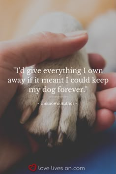 Pet Quotes Dog, Emily English, Pet Quotes, Loss Of Pet