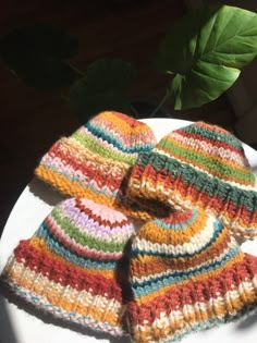 three knitted hats sitting on top of a white plate next to a green plant