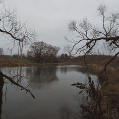 a body of water surrounded by trees and power lines in the distance with no leaves on them