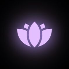 a purple lotus flower on a black background