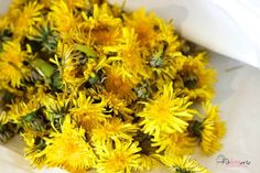 a bunch of yellow flowers sitting on top of a white table next to each other