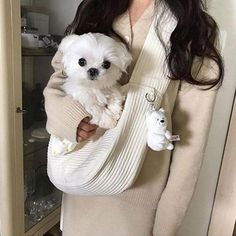 a woman holding a small white dog in her arms