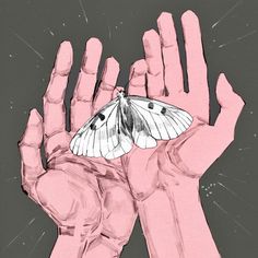 a drawing of two hands holding a small white butterfly in it's palm, against a gray background