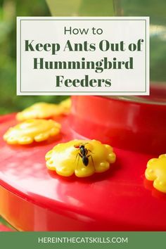 a red bird feeder with yellow flowers on it and the words how to keep ants out of hummingbird feeders