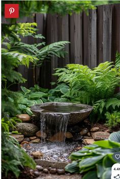 a water feature in the middle of a garden with lots of greenery around it