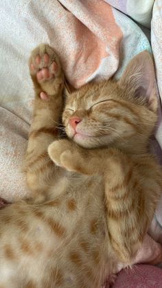 an orange and white cat laying on top of a bed next to pink sheets with its paws stretched out