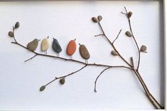 a group of birds sitting on top of a tree branch in front of a white wall