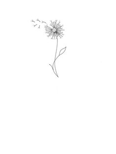 a black and white drawing of a dandelion