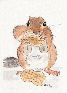 a watercolor and ink drawing of a chipmun eating a peanut butter biscuit