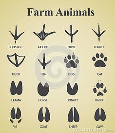 farm animals and their names in black on a beige background, with an animal's foot