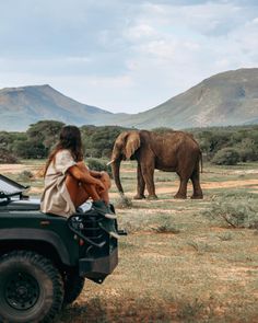 a woman sitting on the back of a jeep looking at an elephant in the distance