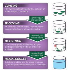 an info sheet describing how to use different types of liquids