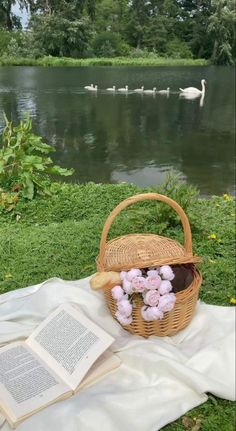 a basket filled with flowers sitting on top of a blanket next to a book and swans in the water