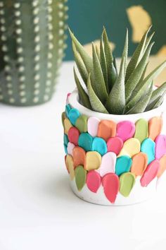 a potted plant sitting on top of a white table next to a green cactus