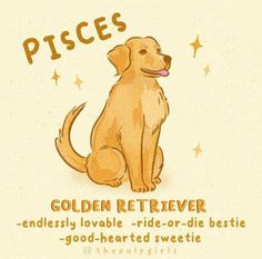 a golden retriever dog sitting on top of a white sign that says pisces