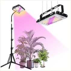 Otdair Grow Light with Stand, Full Spectrum Plant Light for Indoor Plants, Grow Lamp with 35-60 Inches Adjustable Longer Trip Lucky Plant, Grow Lamps, Plant Light, Grow Lights For Plants, Plant Growing, Heat Lamps, Light Hanging, Plant Stand Indoor, Plant Lighting