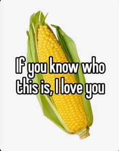 a corn on the cob that says if you know who this is, i love you