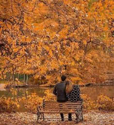 a man and woman sitting on a bench in front of a tree with yellow leaves