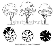 four different types of trees in black and white, each with their own leaf shapes