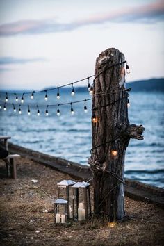 some lights are hanging from a tree by the water