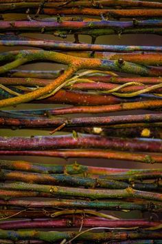 many different colored branches are stacked together in the same pattern and color as they appear to be painted