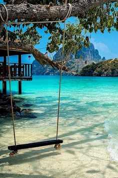 a swing hanging from a tree in the water next to a beach with a house on it