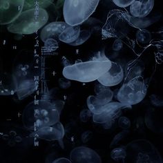 jellyfish are floating in the water with chinese characters on it's back ground