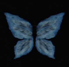 a blue butterfly is flying in the dark