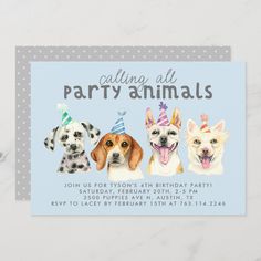 three dogs wearing party hats are in front of a polka dot background with the words, calling all party animals