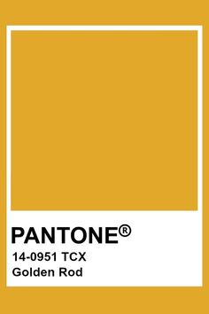 the pantonee color is shown in yellow and has a white rectangle on it