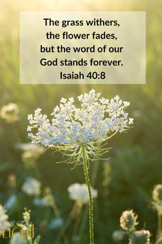 the grass withers, the flower fadess, but the word of our god stands forever