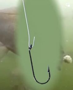 a fish hooked up to a hook in the water