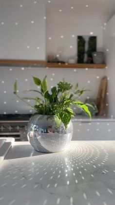 a mirror ball planter sitting on top of a white counter next to a stove