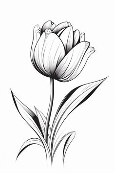 Flower Line Drawing Simple, Tower Drawing, Texture Paintings, Flowers Wild, Flower Line Drawings, Flower Drawings, Flower Outline, Drawing Flowers, Flower Art Drawing