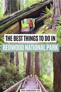 the best things to do in redwood national park