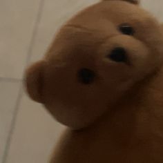 a brown teddy bear sitting on top of a white tile floor