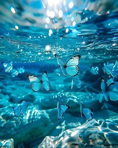 several butterflies flying in the air above water with sunlight shining on it's surface