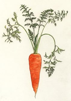 a drawing of a carrot with green leaves on it's head and stems coming out of the top