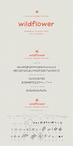 the wildflower font and numbers are displayed on a white sheet with red lettering in it