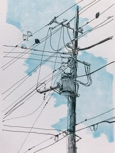 an ink drawing of power lines and telephone poles with blue sky in the back ground