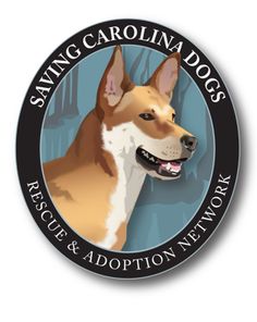 a brown and white dog with the words saving carolina dogs rescue & adoption network on it