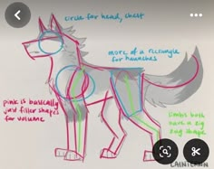 the drawing shows how to draw a wolf