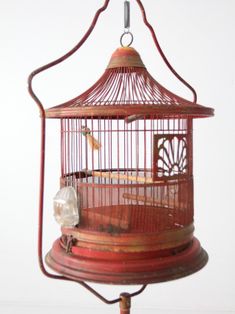 a bird in a cage hanging from the ceiling