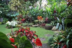 a garden filled with lots of different types of plants and flowers on top of green grass