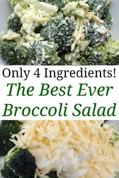 Keto Broccoli Salad Recipe – easy low carb vegetarian simple salad idea with broccoli, sour cream and cheese, great for lunch, a party, crowd or potluck. Including the step by step video tutorial and ideas for loads of healthy variations so you can enjoy this salad to your tastes. Broccoli Salad Recipe Easy, Keto Broccoli Salad, Keto Broccoli, Simple Salad, Low Carb Salad, Herb Recipes, Low Carb Vegetarian