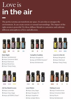 Doterra Anthropologie Blend, Doterra Whisper Blend, Doterra Vetiver, Doterra Cholesterol Blend, Metapwr Dottera, Doterra Lavender, Ylang Ylang Essential Oil, Doterra Essential Oils Recipes