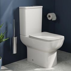 a white toilet sitting in a bathroom next to a roll of toilet paper and a potted plant