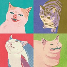 four different colored cats with faces on them