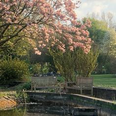 two wooden benches sitting next to each other near a body of water with pink flowers on it